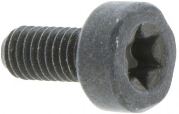 Screw Torx D10, M5X10.5 in the group  at Motorsågsbutiken (5032153-10)