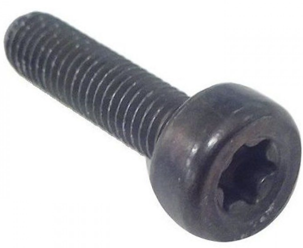 Screw Torx D10, M5X20 in the group  at Motorsågsbutiken (5032153-20)