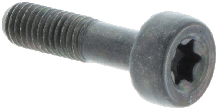 Screw Torx D10, M5X20 in the group  at Motorsågsbutiken (5032153-21)