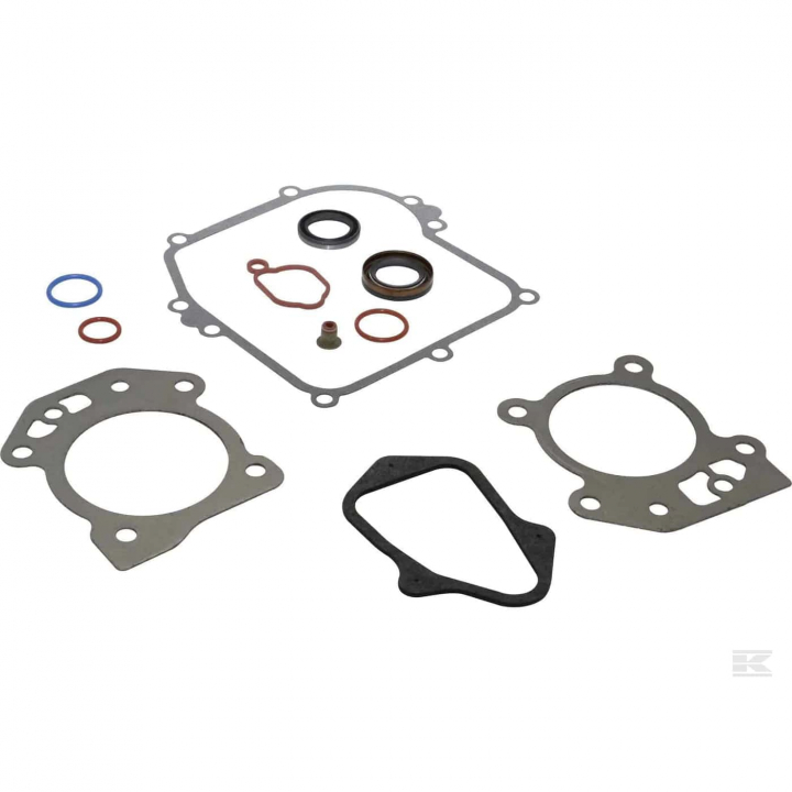 Gasket Kit B&S 595350 in the group B&S 08P502-0022-H1 at Motorsågsbutiken (5822886-23)