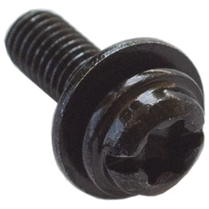 Screw T27 5 X 0.8 X 14 in the group  at Motorsågsbutiken (5864965-01)