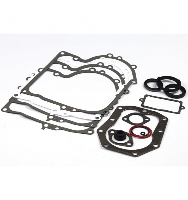 Gasket Kit 494241