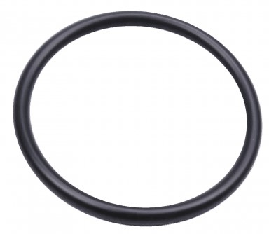 O-Ring 24X2 5204020-01